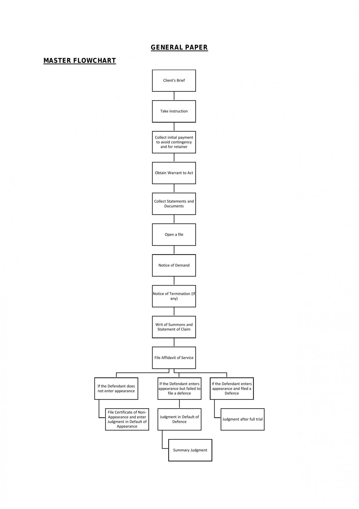 General Paper on Litigation - Page 1