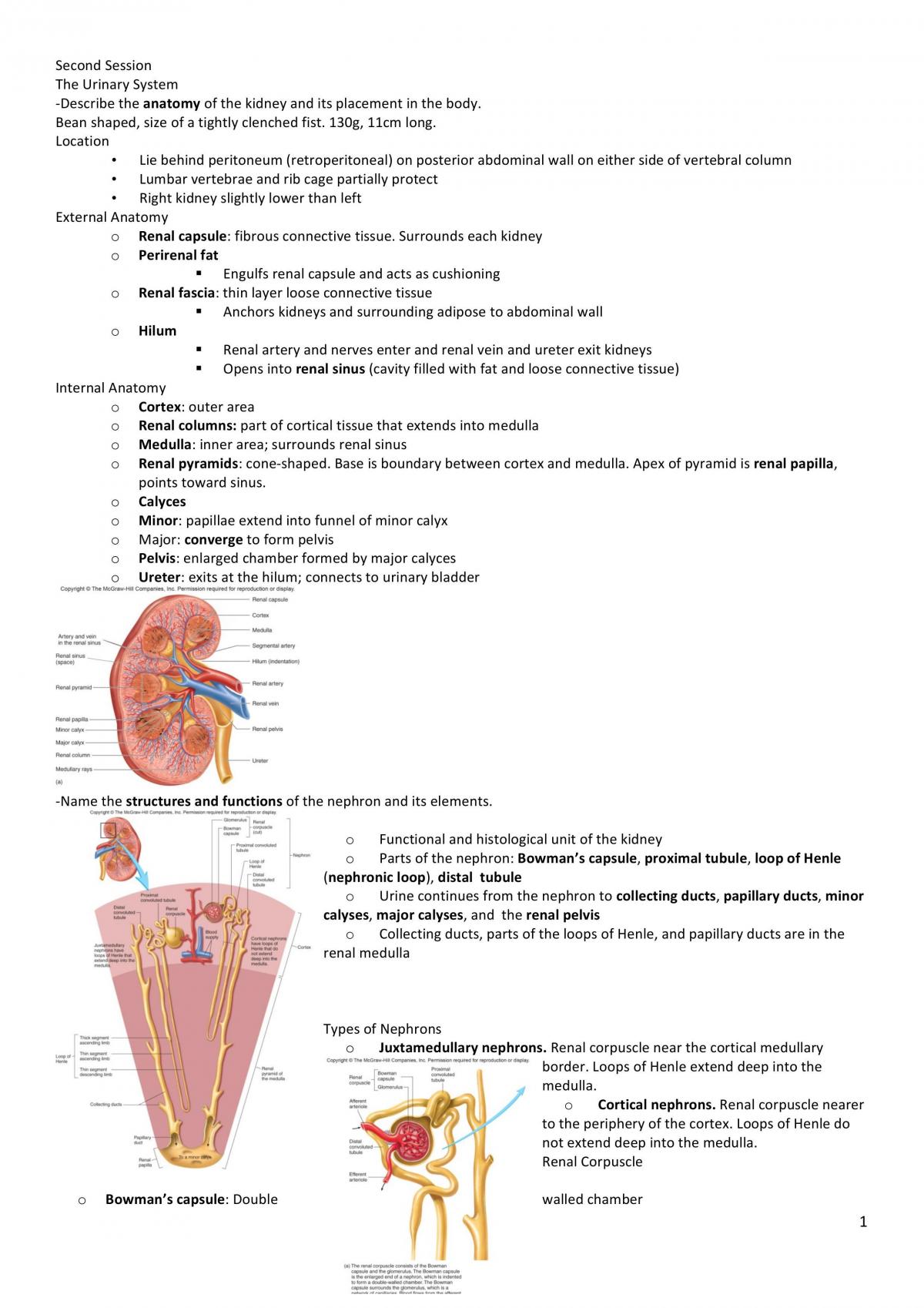 BMS162 Second Session Study Notes - Page 1