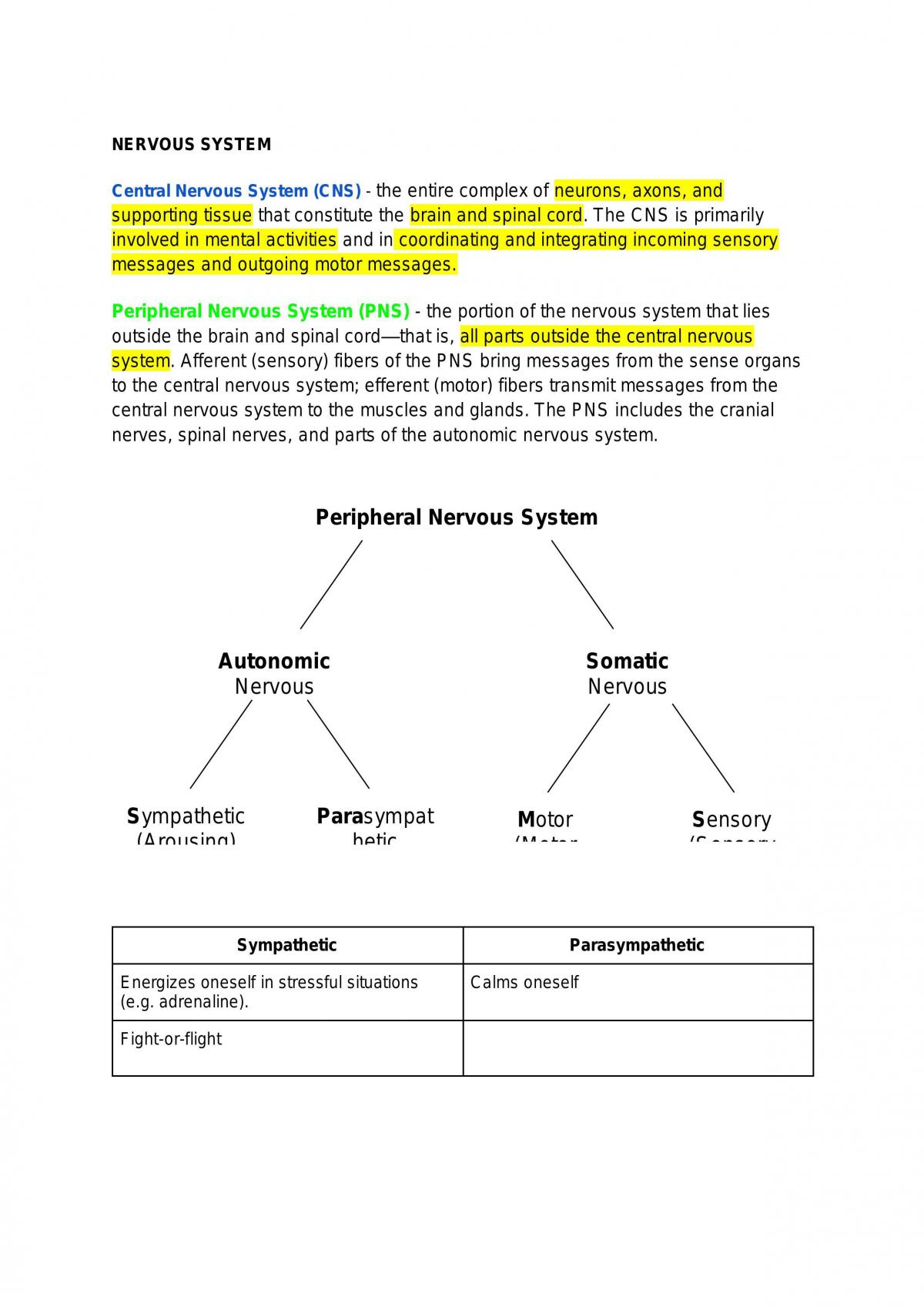 PSY107 Seminar 3 Notes (Biopsychology) - Page 3