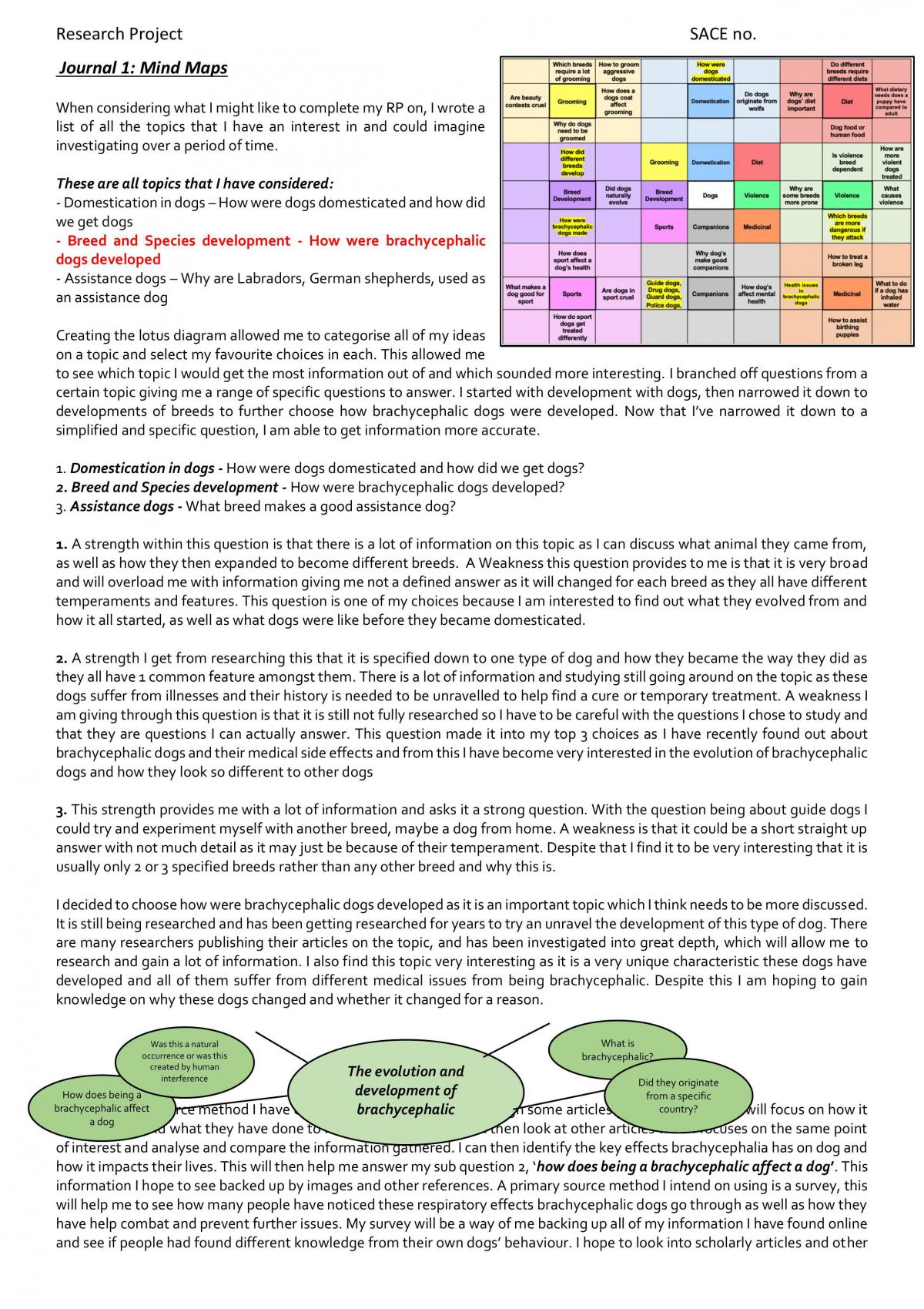 research project review sace