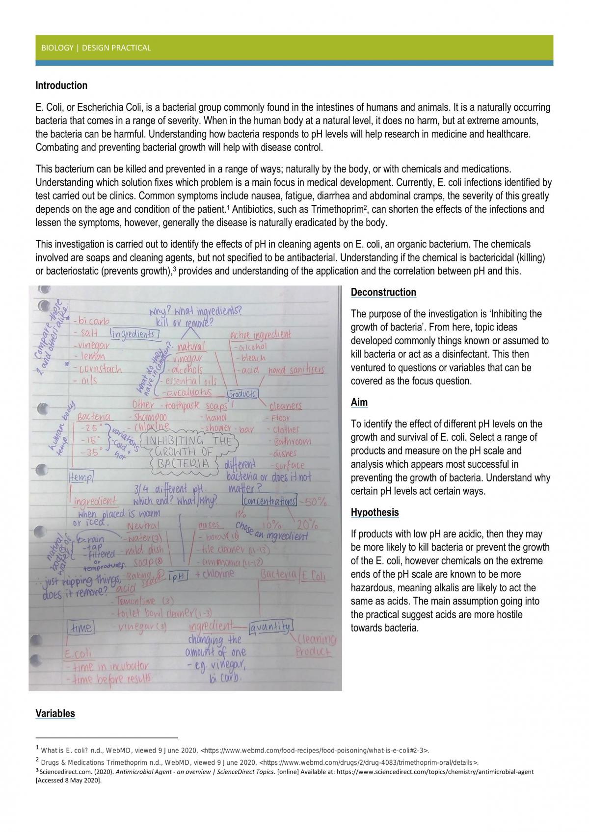 Design Practical E.coli - Page 1