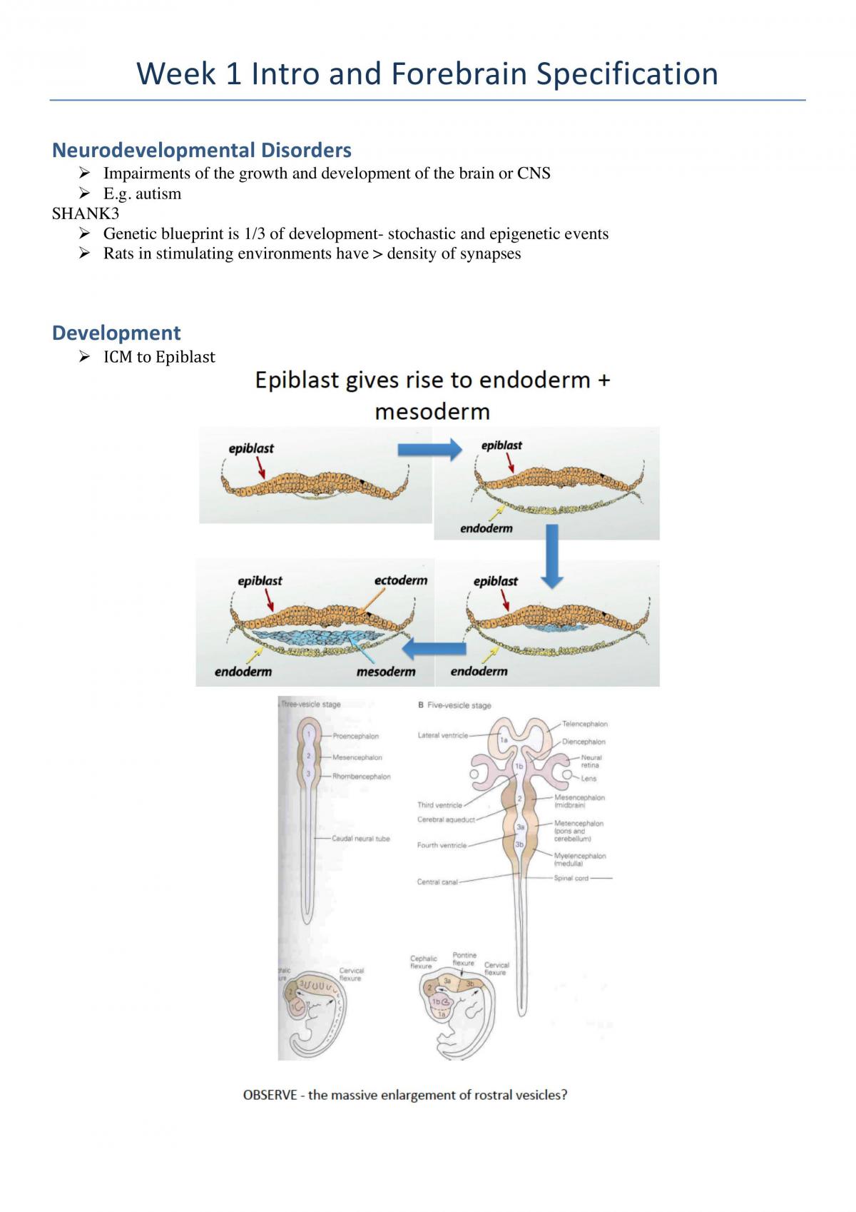 Exam Study Notes - Page 1