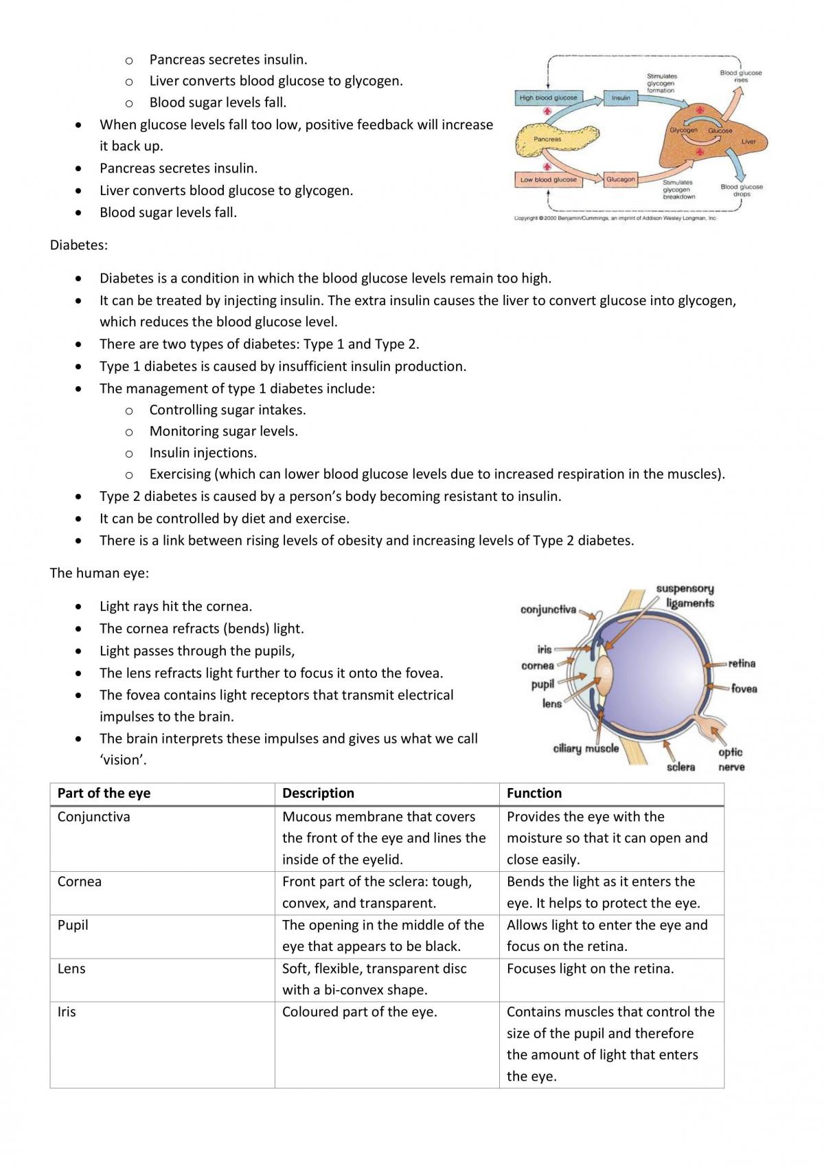 Coordination and Response with key questions | Biology - GCSE CCEA ...