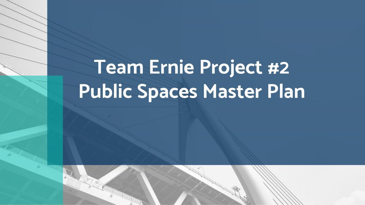 Public Spaces Masterplan - Page 1