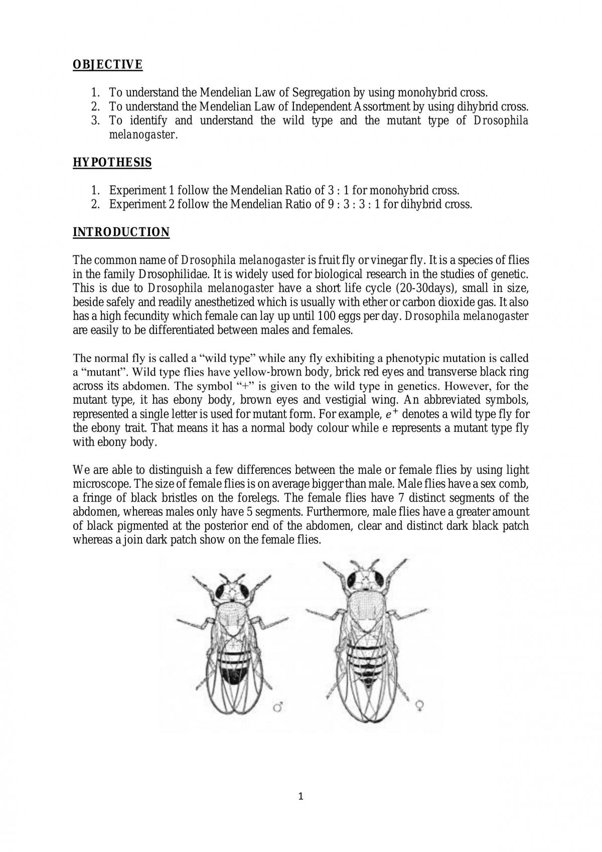 Mendelian Law of Segregation - Page 1