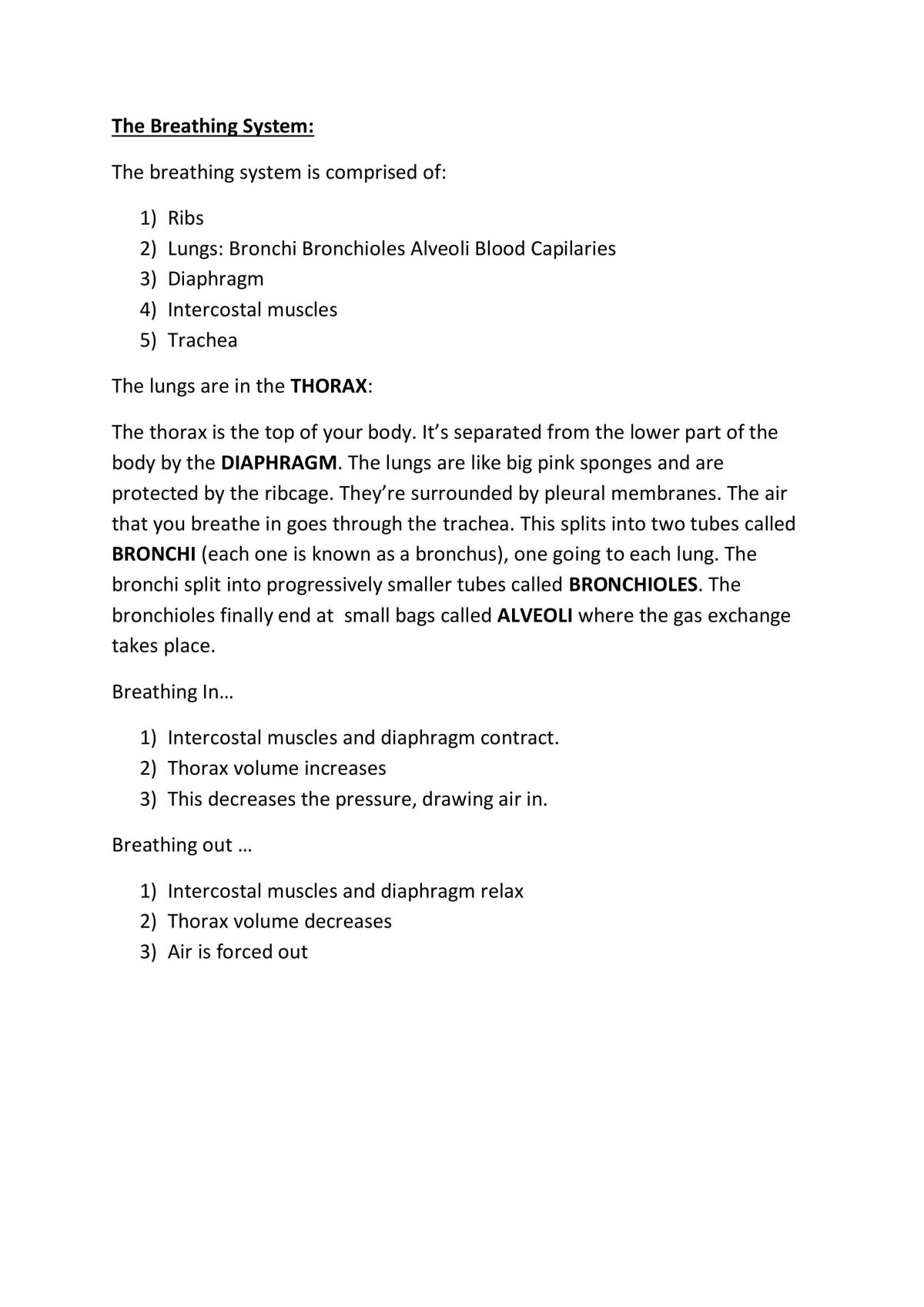 Biology Notes - Page 1