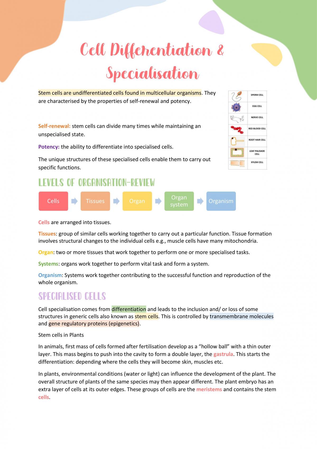 Unit 1.2 - Multicellular Organisms notes - Page 2