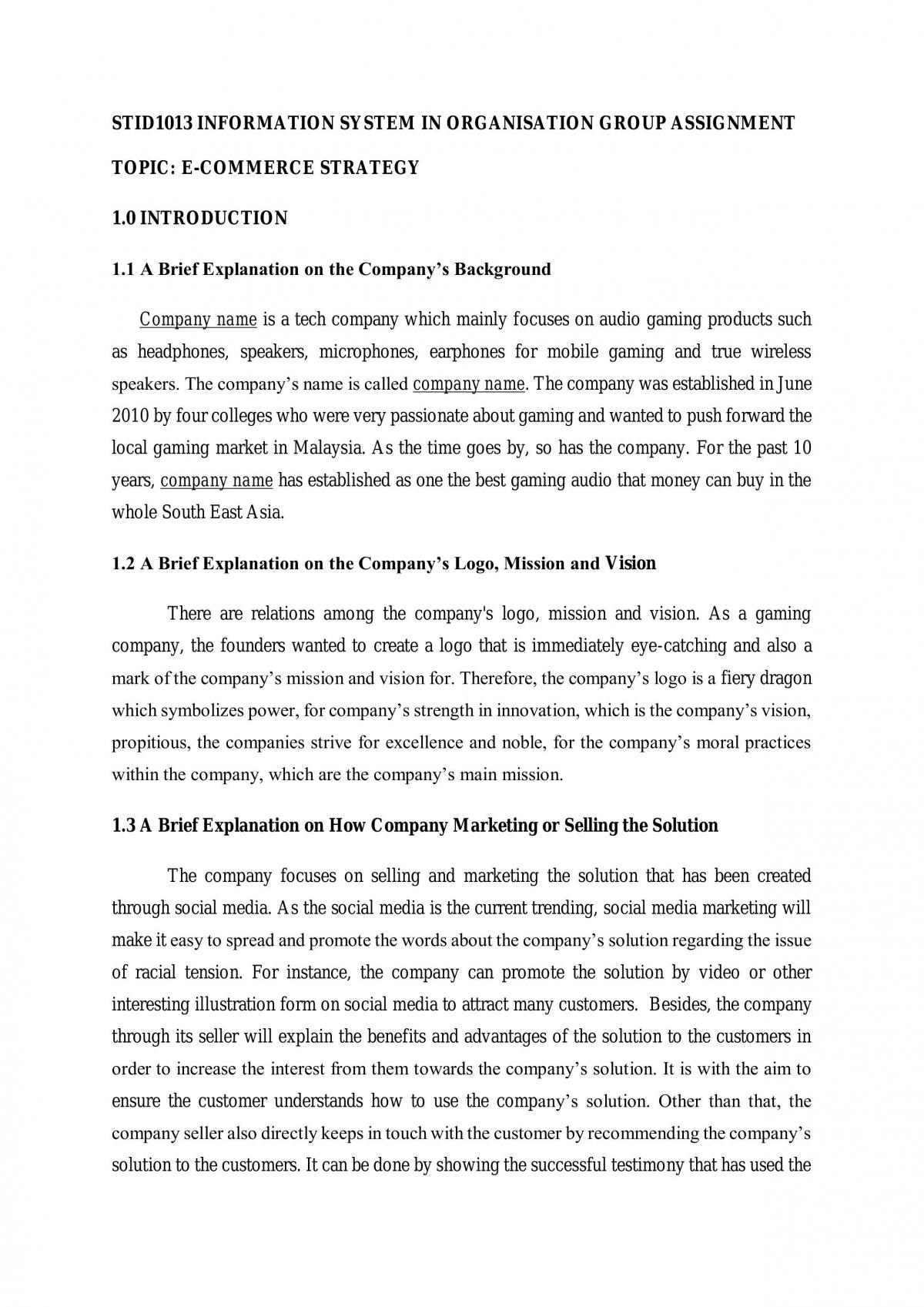Group assignment - E-commerce strategy - Page 1