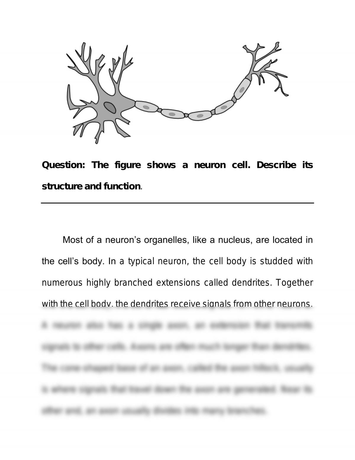 research paper about neurons