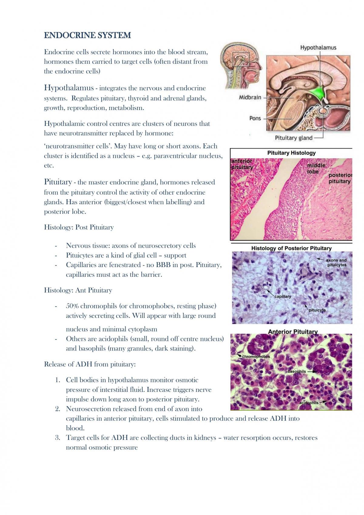 Study Notes - Page 1