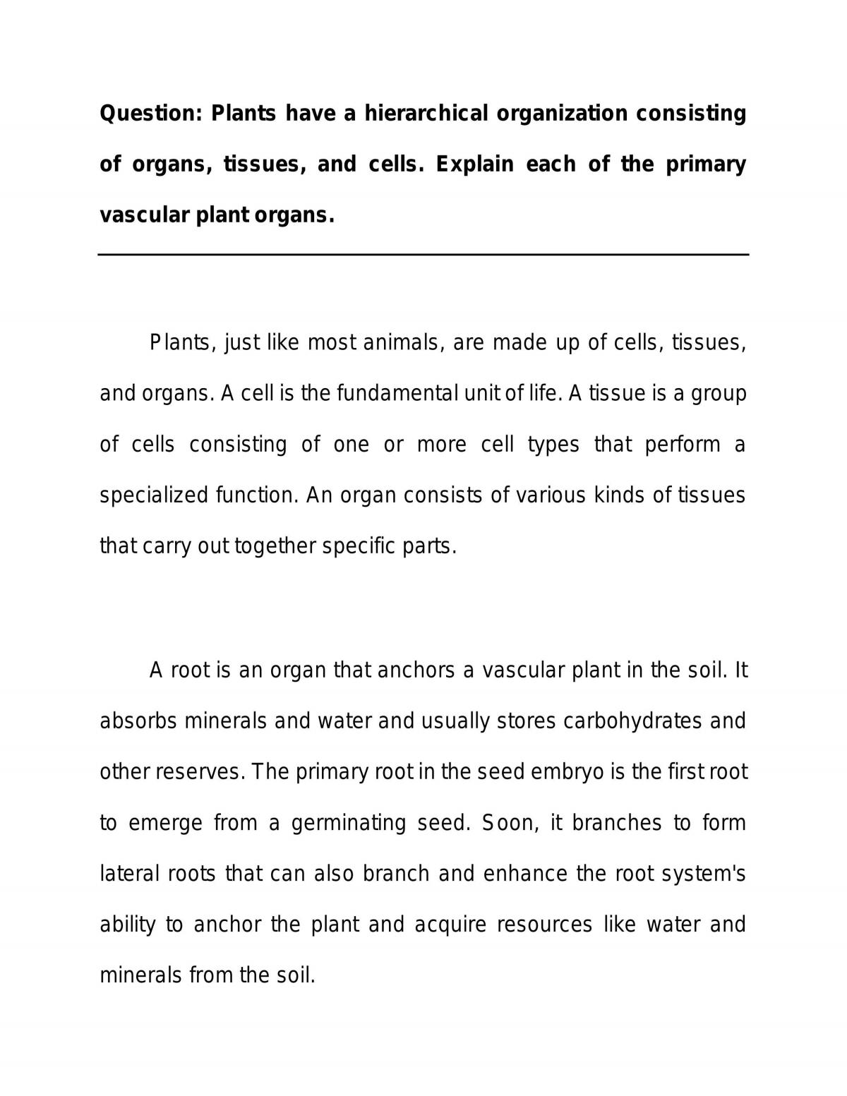 Essay Discussing the Types of Primary Vascular Plant Organs | Biology -  STPM | Thinkswap