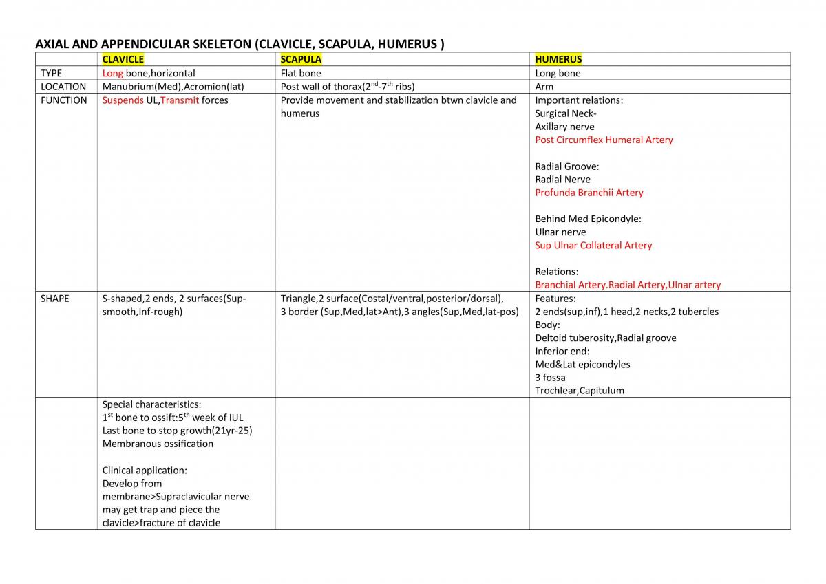 Musculoskeletal System - Page 1