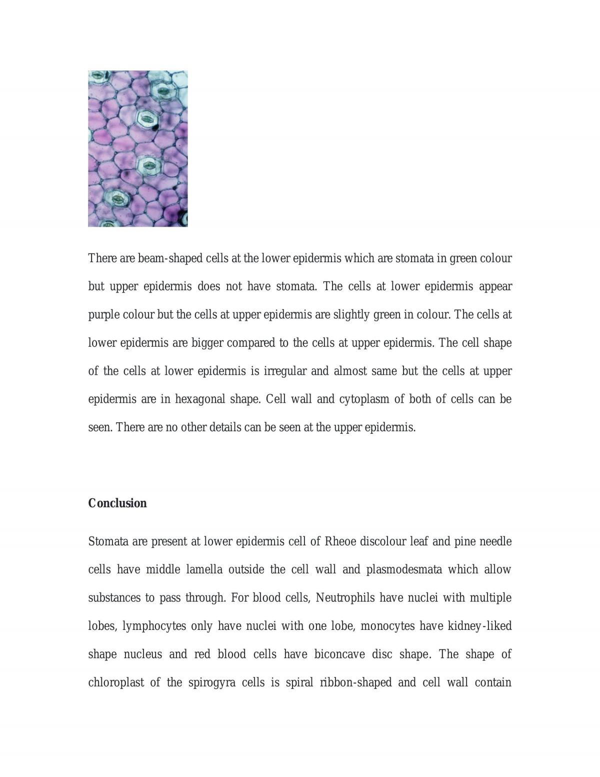 Cell Structure - Page 5