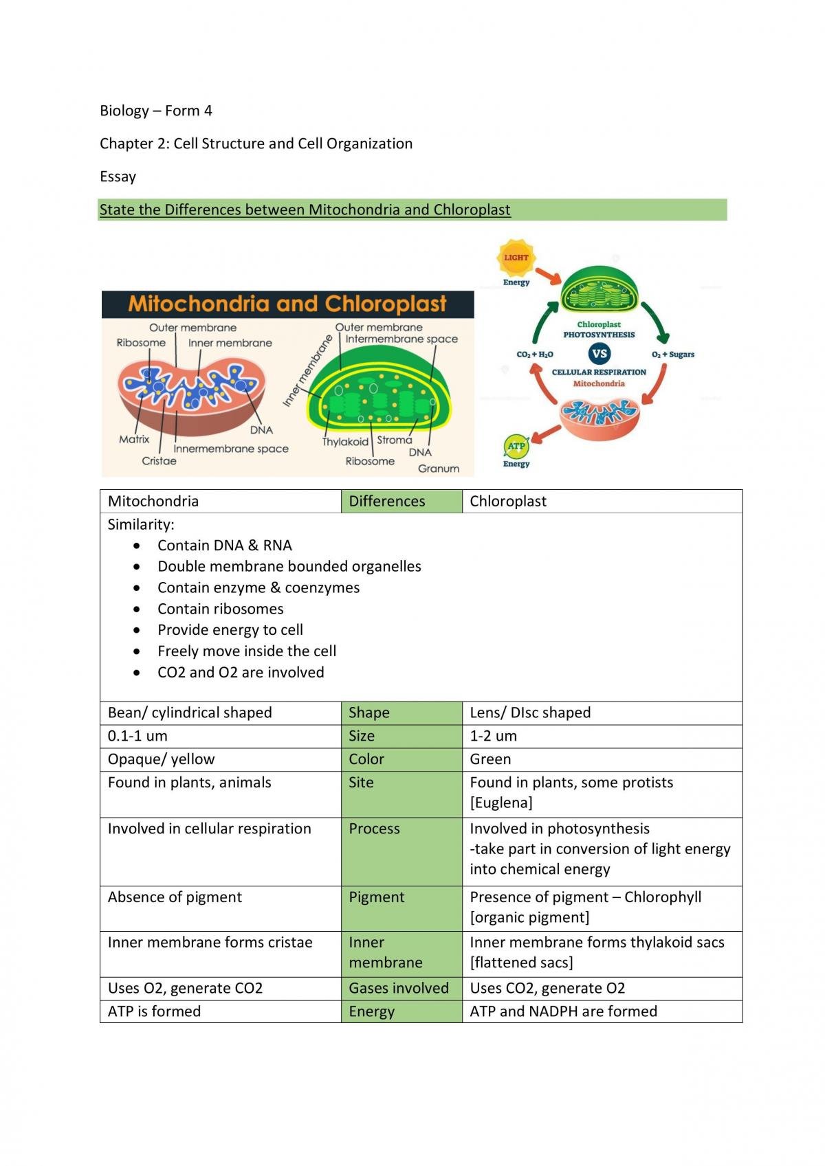 Biology Form 4 Chapter 2 Essay | Biology - Form 4 SPM | Thinkswap
