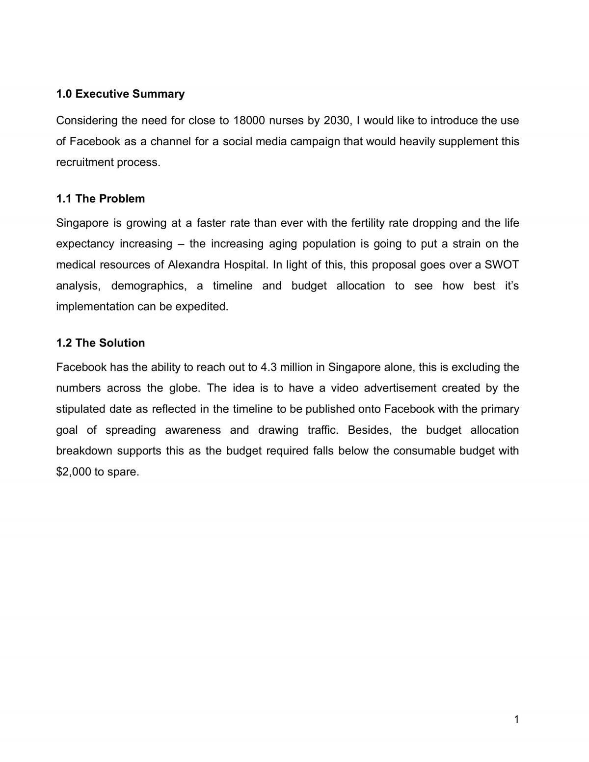 Business Plan  - Page 1