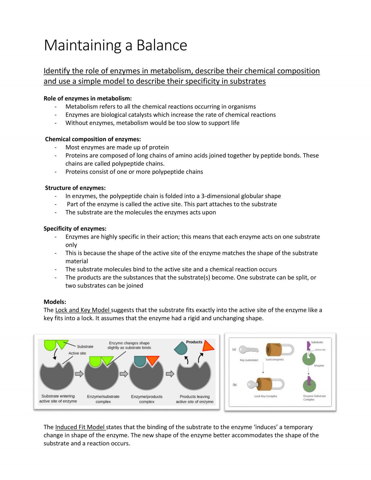 Mainting A Balance Study Notes - Page 1