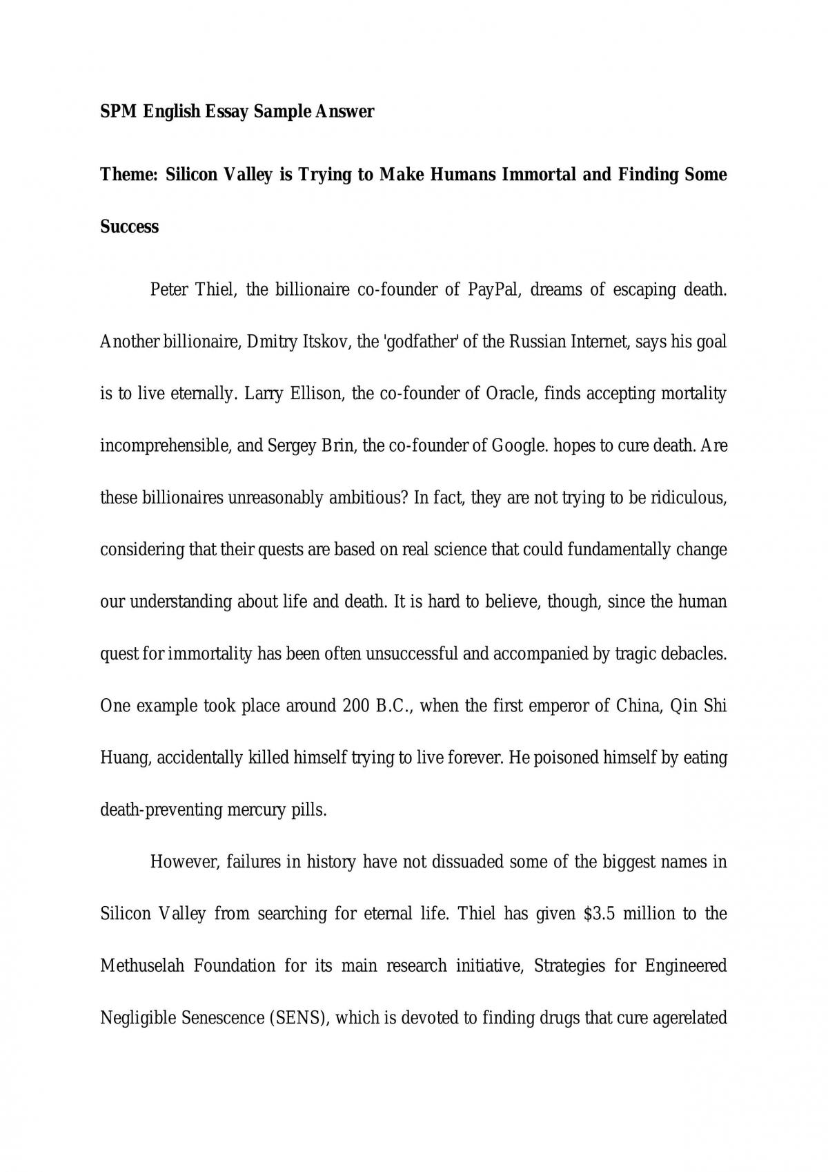 eEsay on Silicon Valley - Page 1
