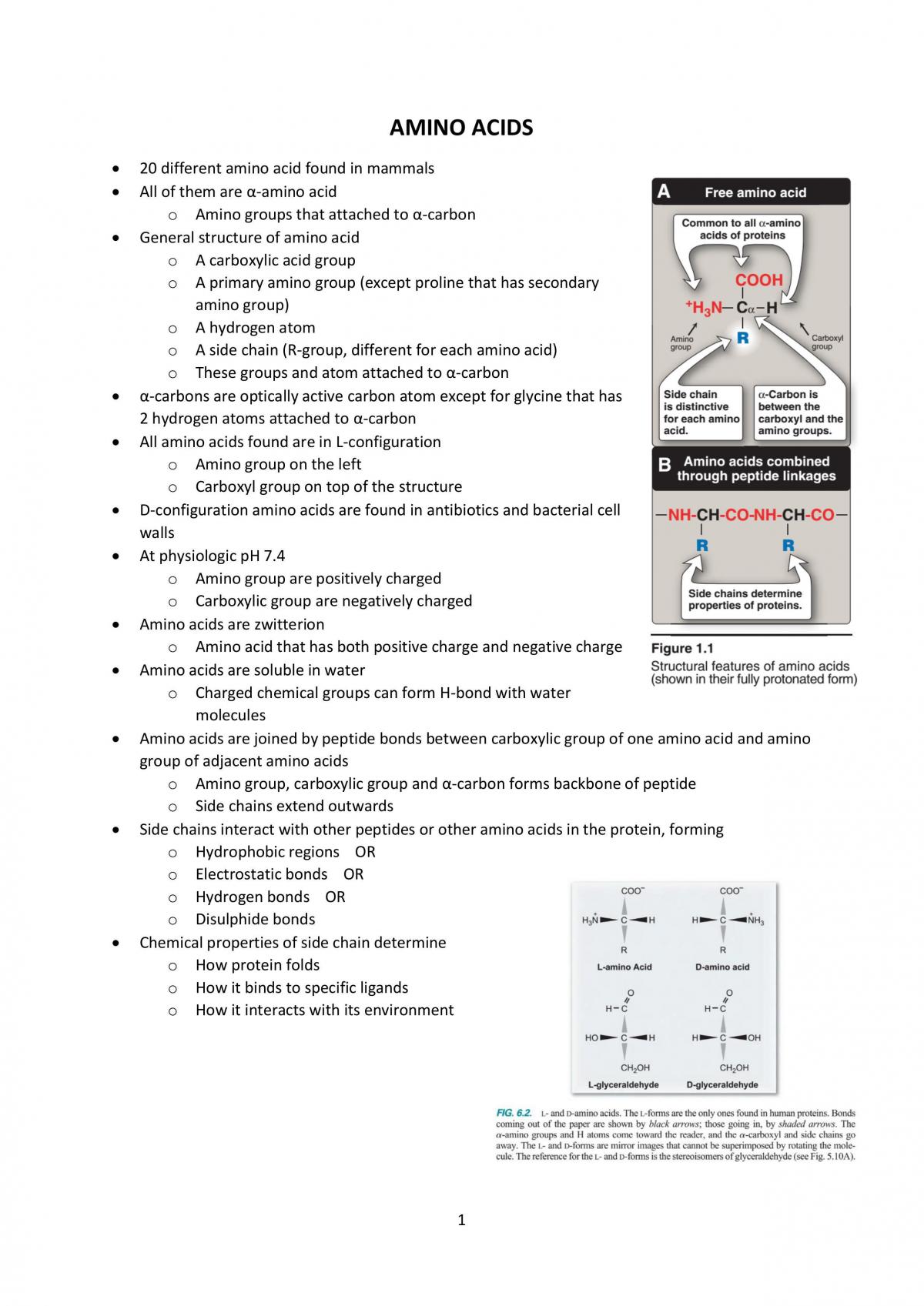 Amino Acids  - Page 1