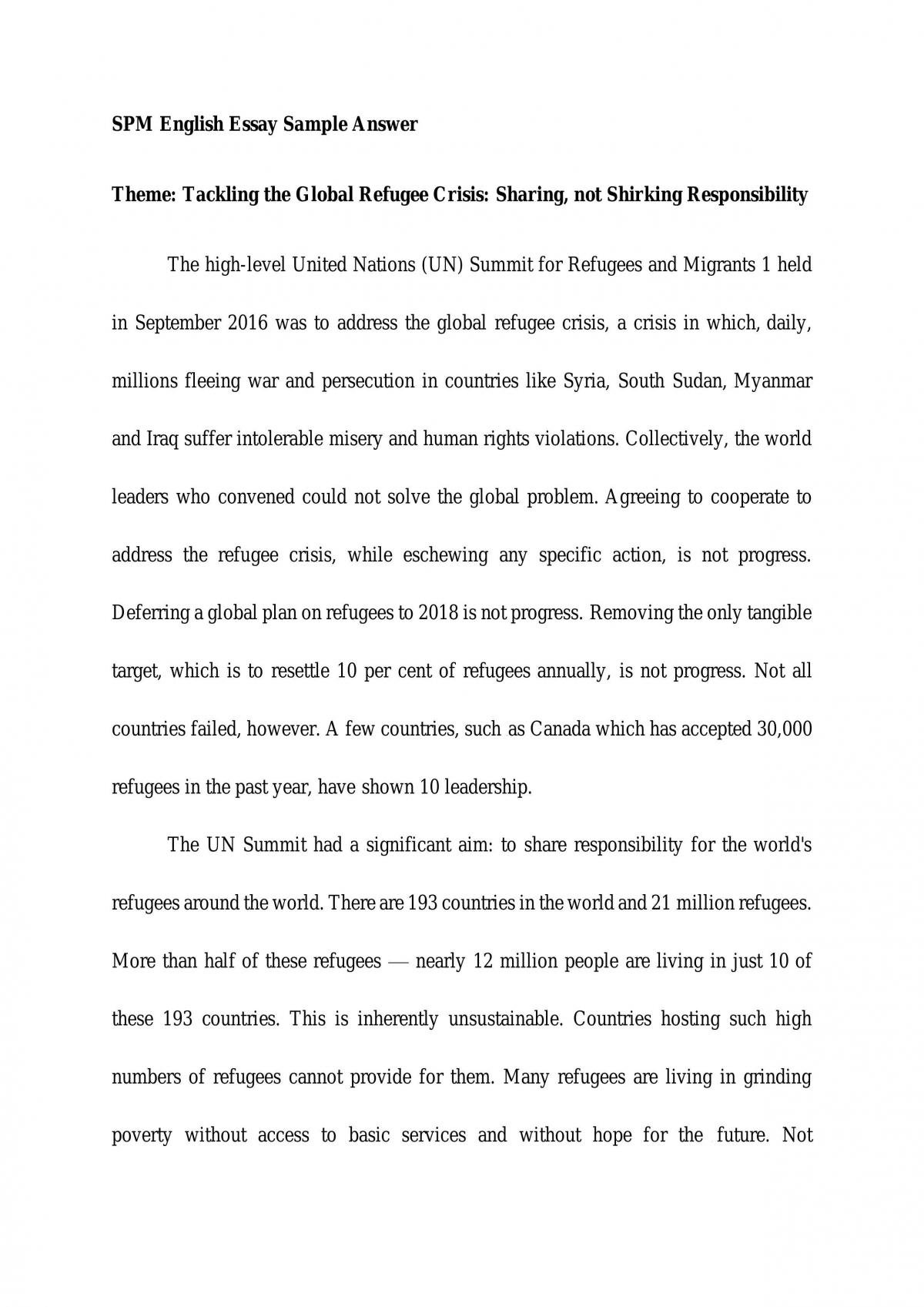global crisis essay example