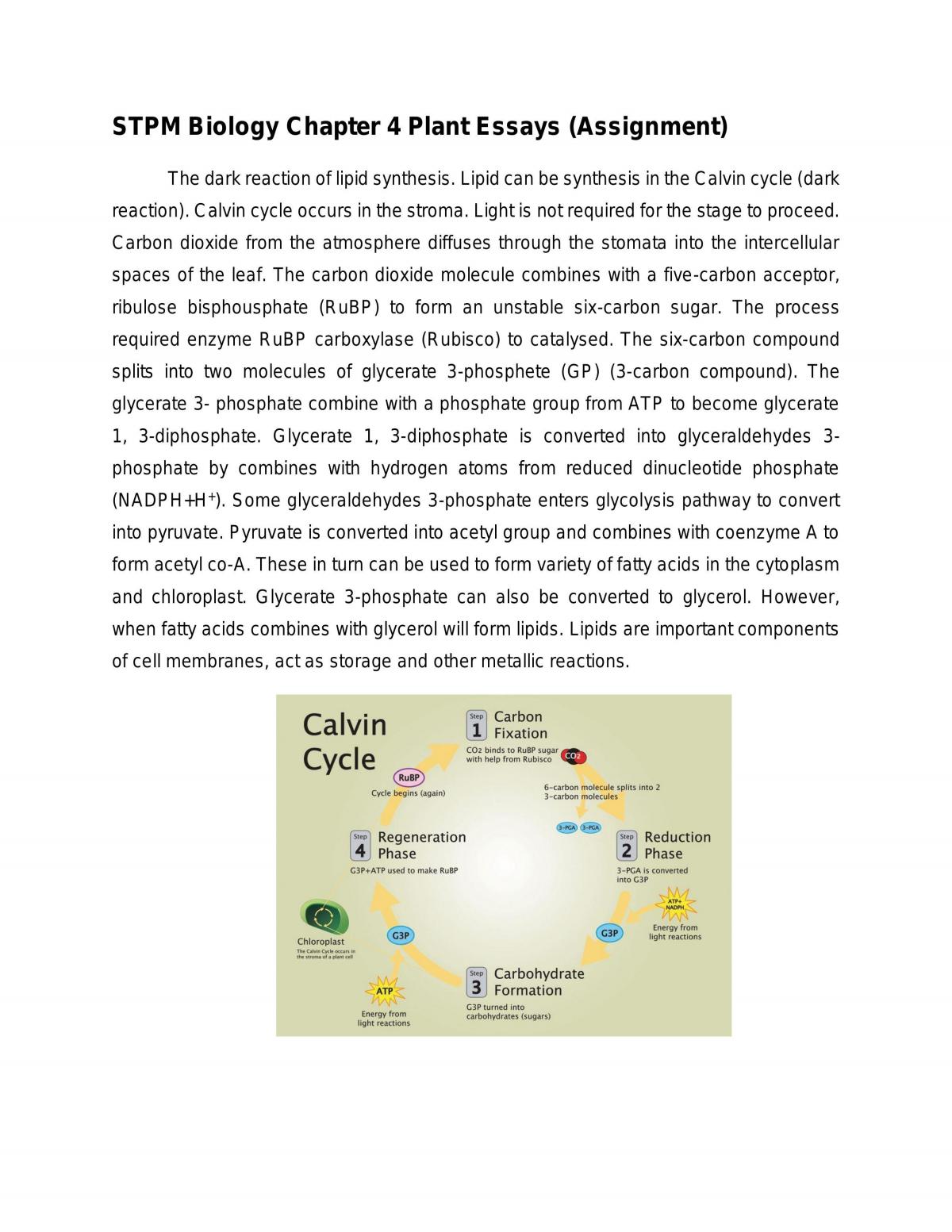 STPM Biology Chapter 4 Plant Essays (Assignment) - Page 1