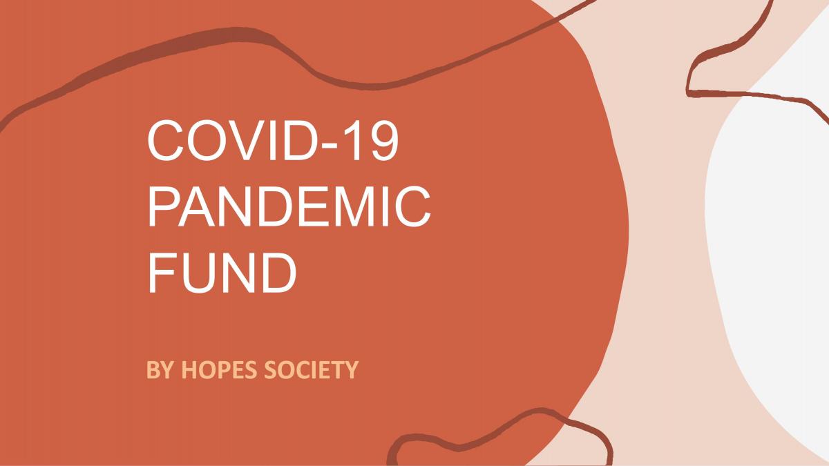 Assignment: Covid-19 Pandemic Fund - Page 1