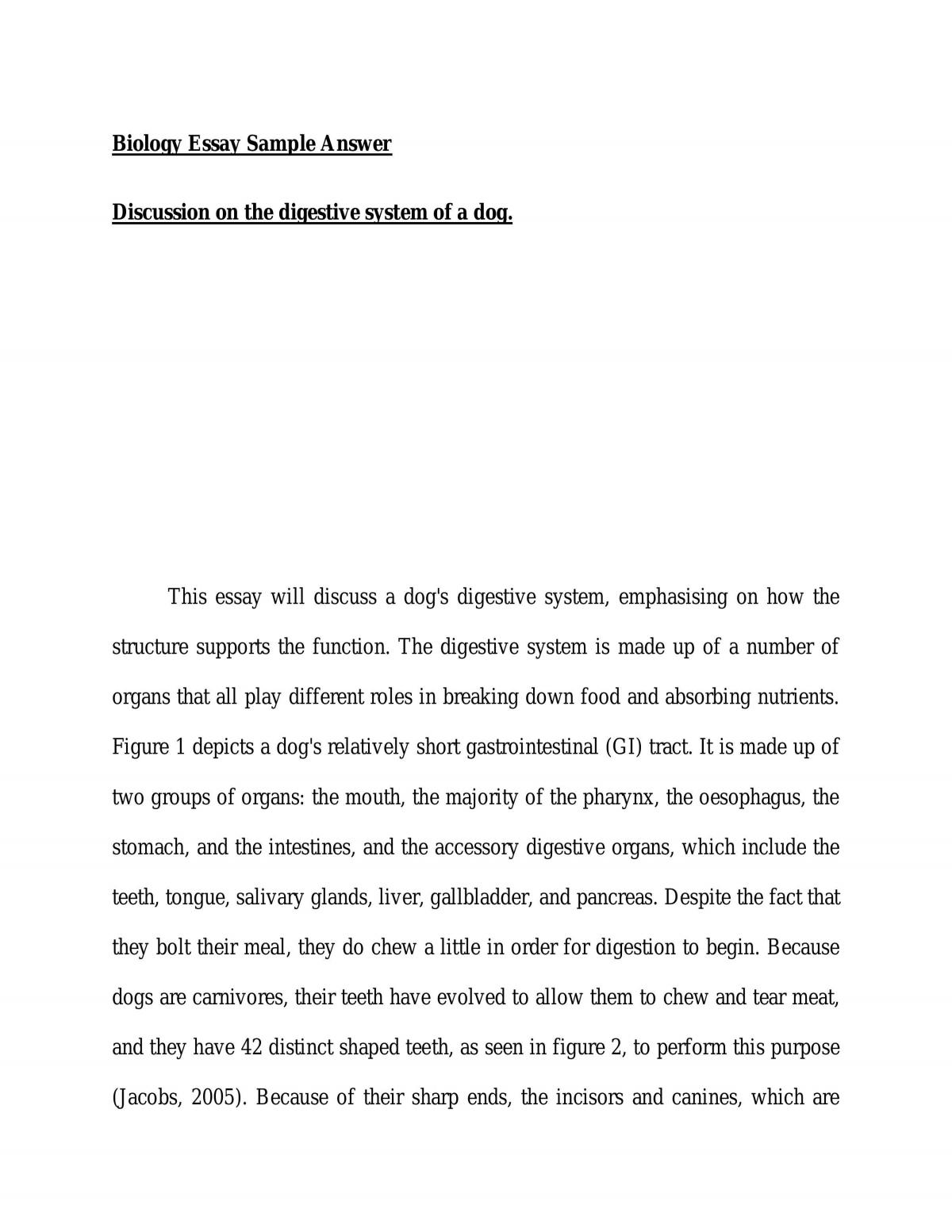 Digestive system of a dog - Page 1