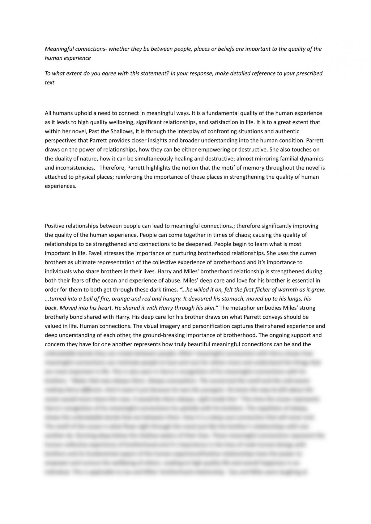 past the shallows human experience essay
