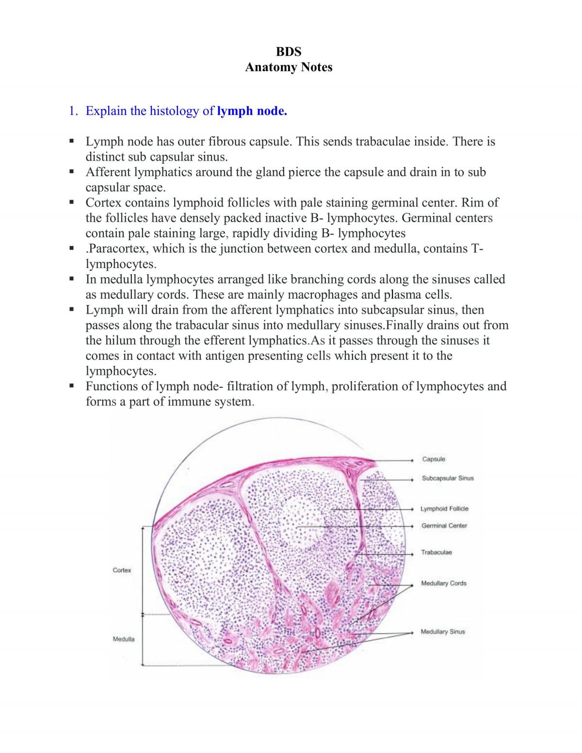 Anatomy Study Notes - Page 1