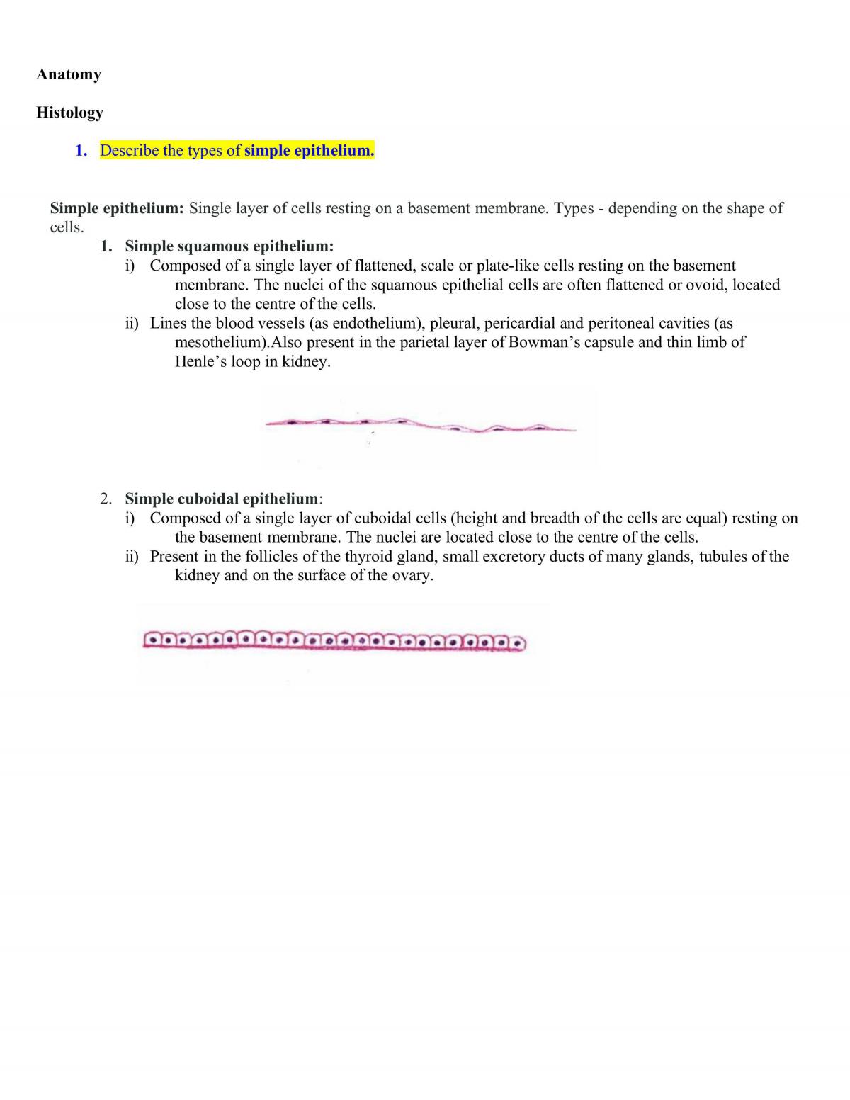 Anatomy Notes - Page 1