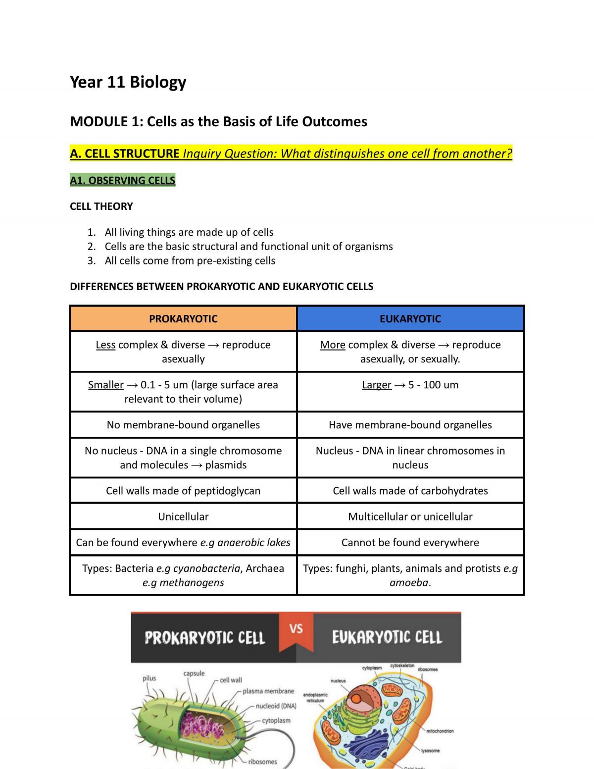 Prelim Biology Whole Syllabus Notes 2021 | Biology - Year 11 HSC ...