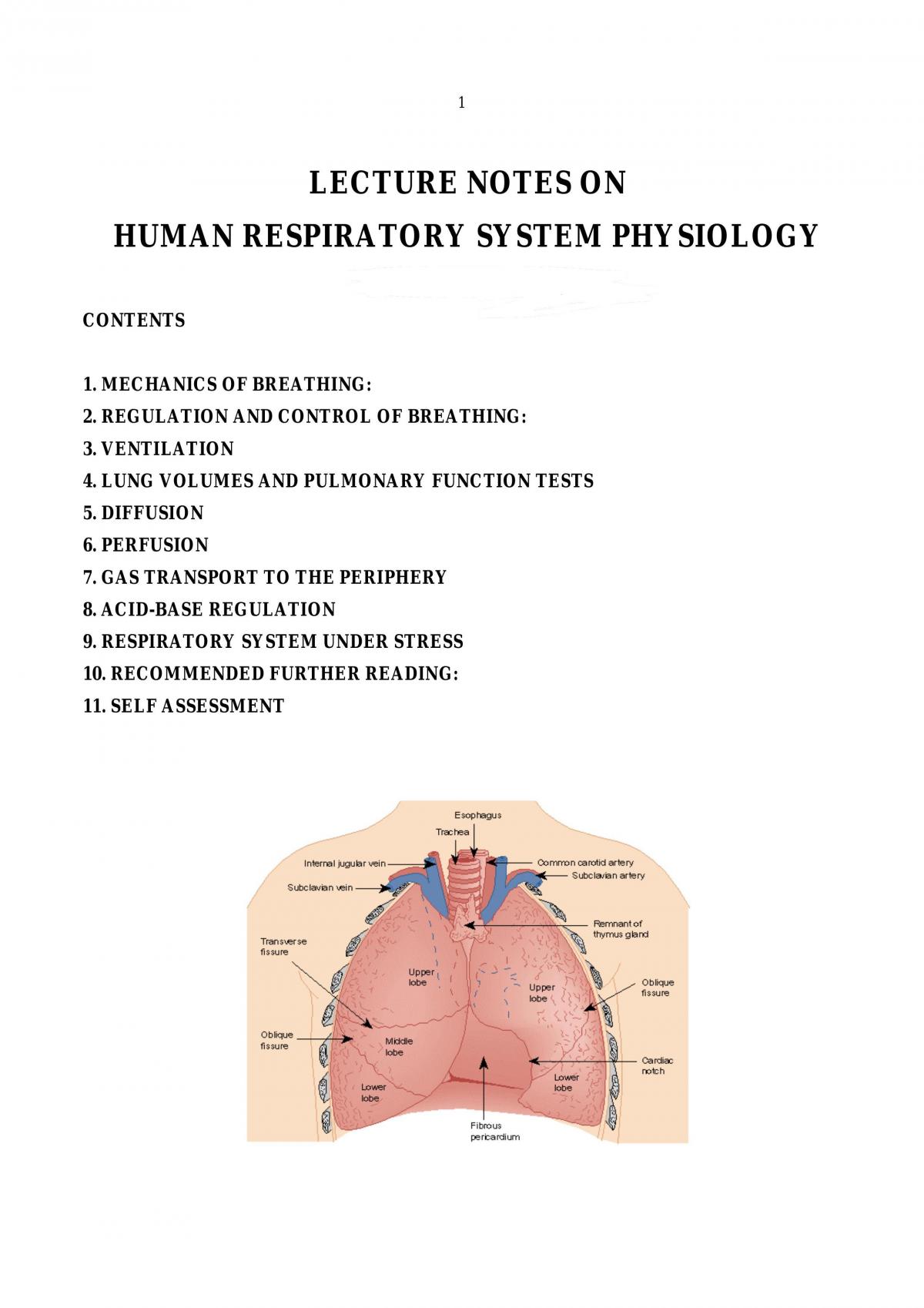 Physiology - Respiratory system - Page 1