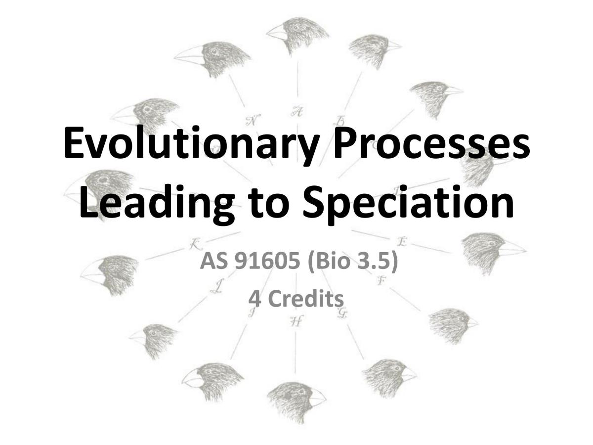 Speciation - Page 1