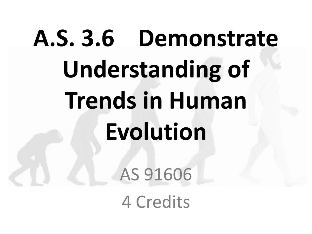 Demonstrate Understanding Trends in Human Evolution - Page 1