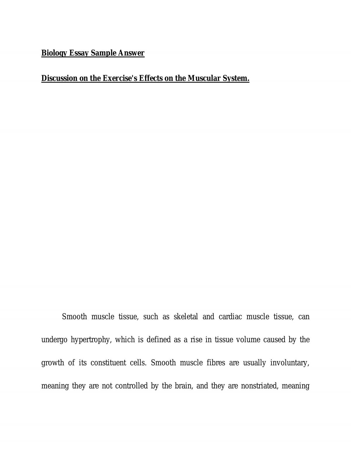 Exercises effects on the muscular system  - Page 1