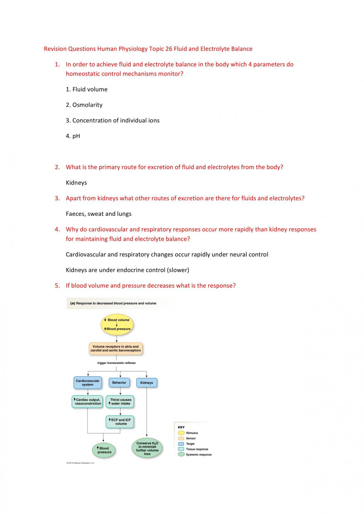 Fluid & Electrolyte Balance - Page 1