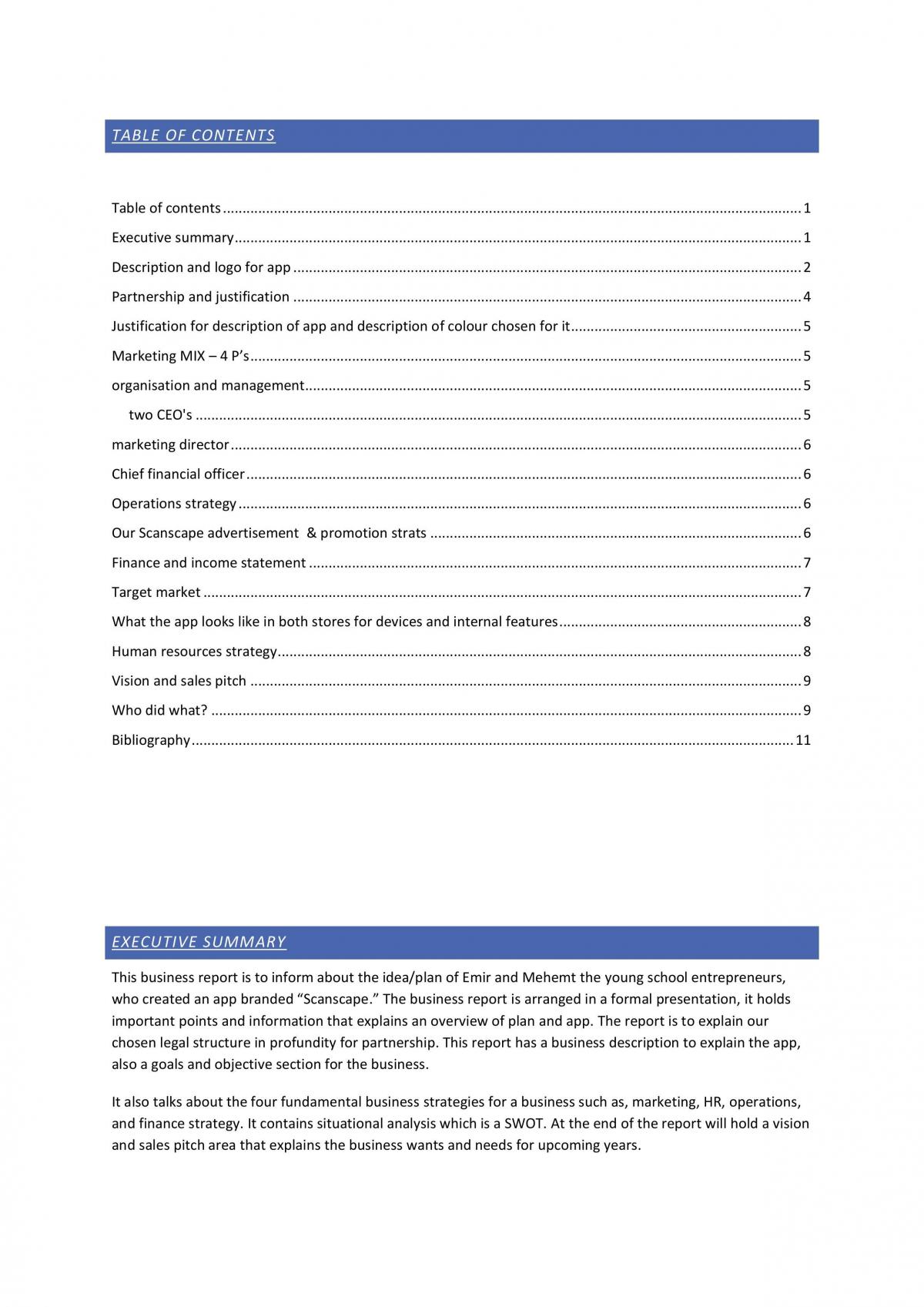 Business Plan Full  - Page 1