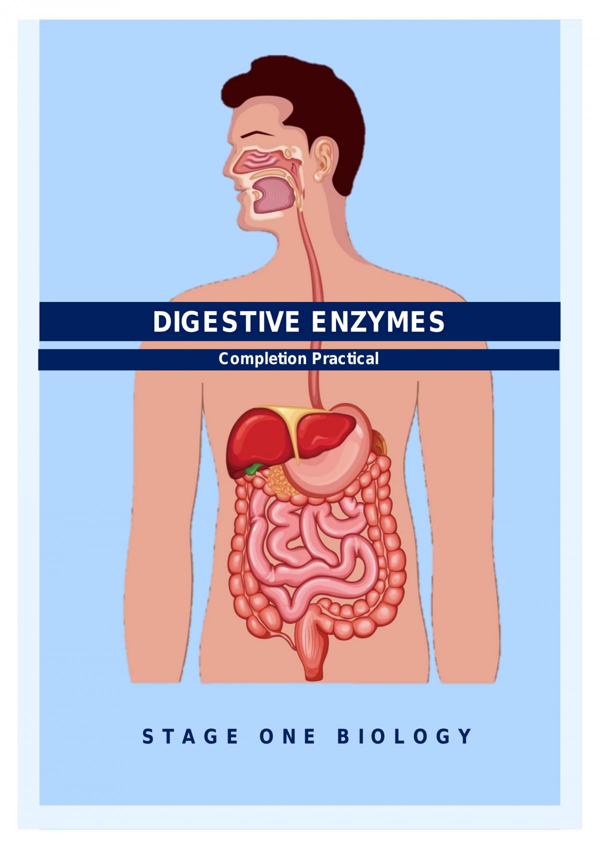 Digestive Enzymes - Completion Practical  - Page 1