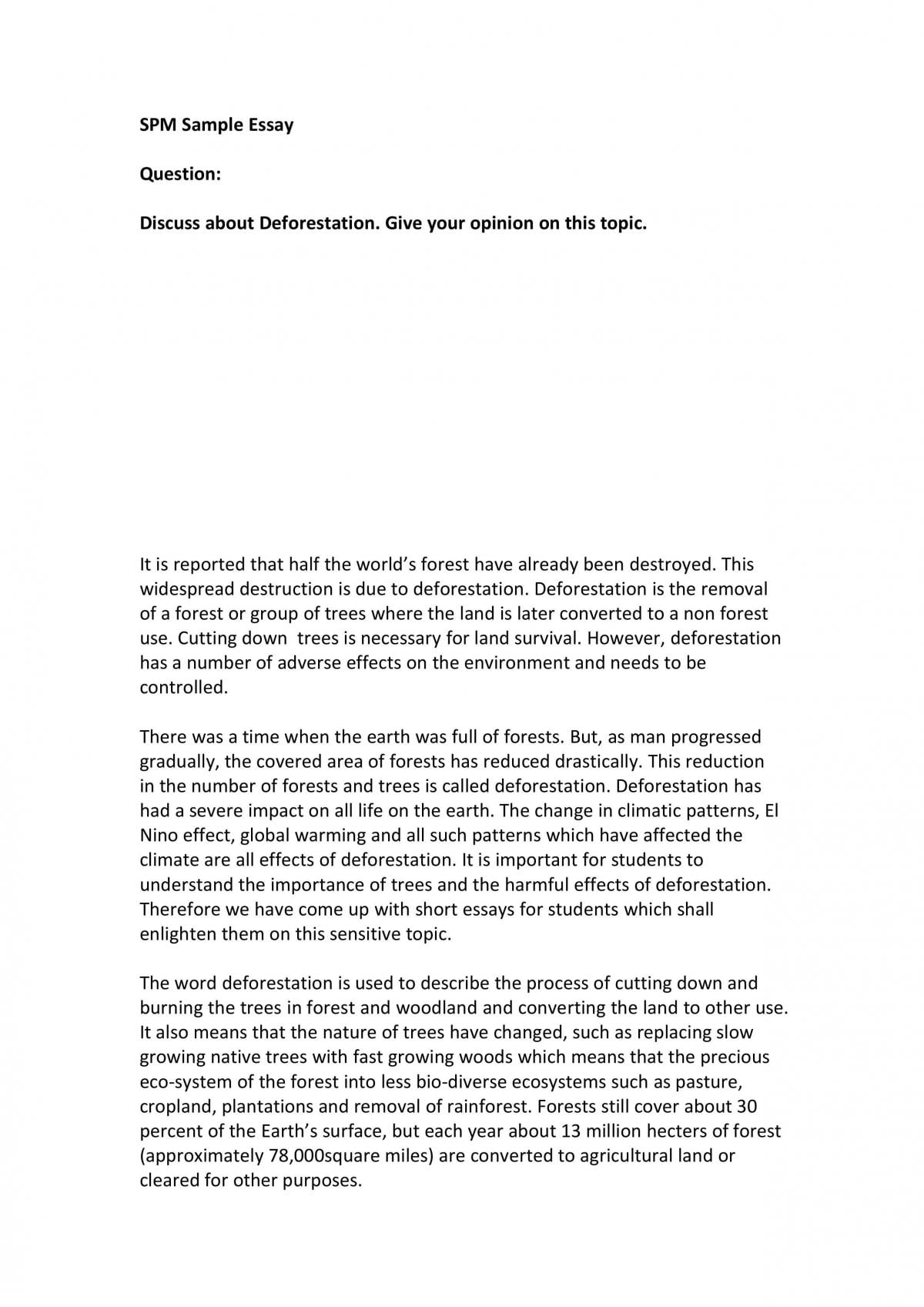 Essay on Deforestation  - Page 1