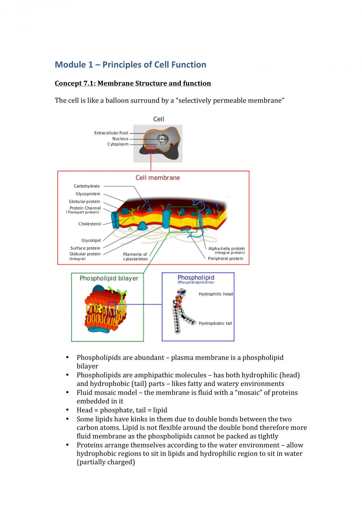 BIOL1040 Study Notes - Page 1