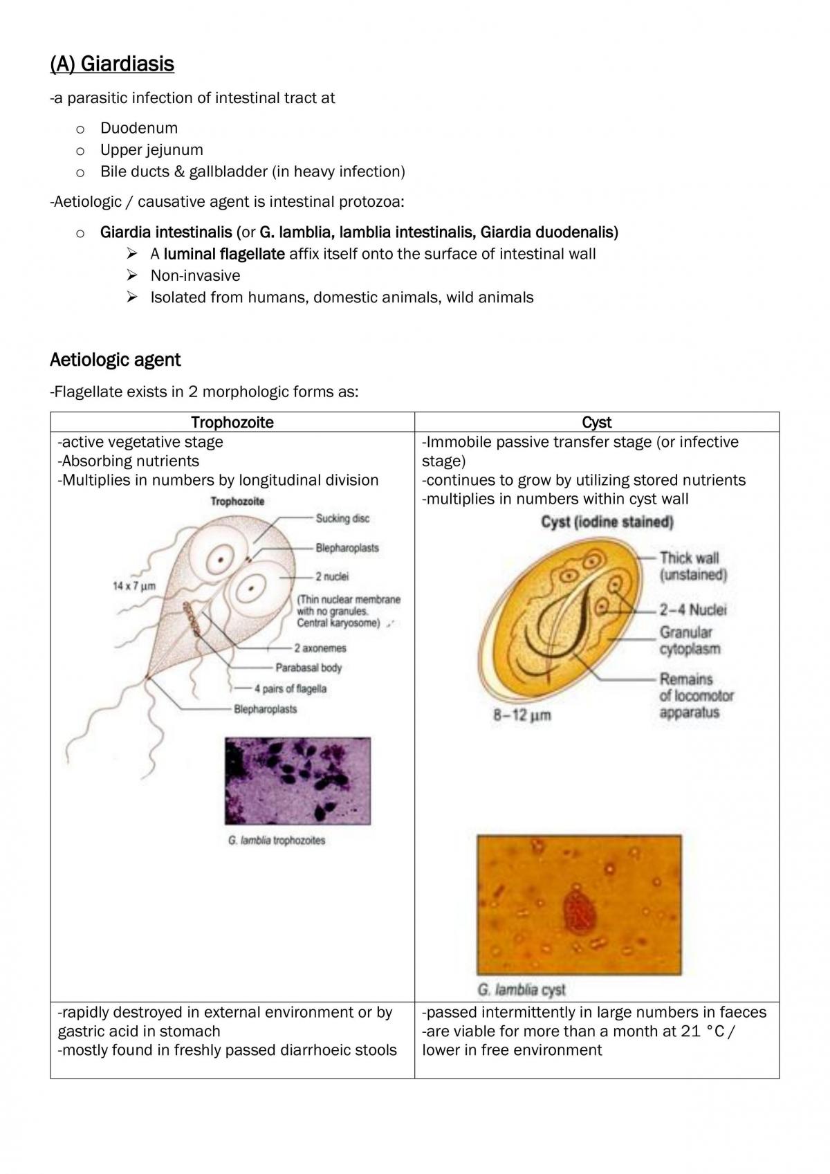 Giardiasis & Ascariasis - Page 1
