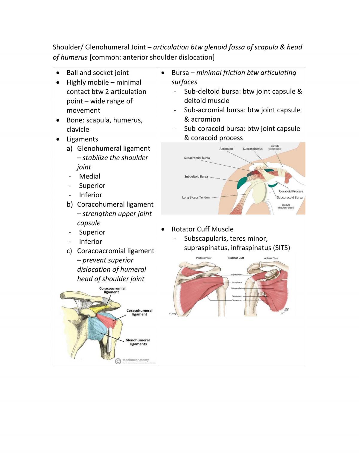 Physical Examination  - Page 1