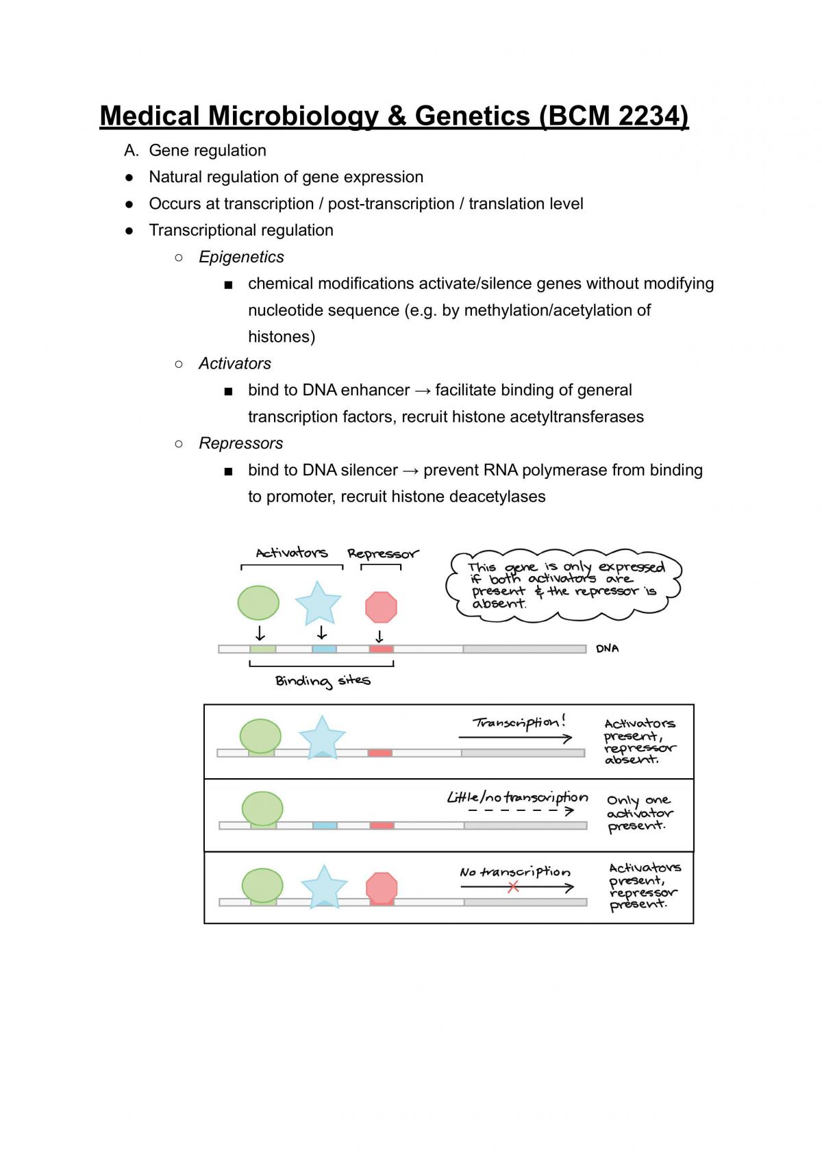 Genetics Study Notes - Page 1