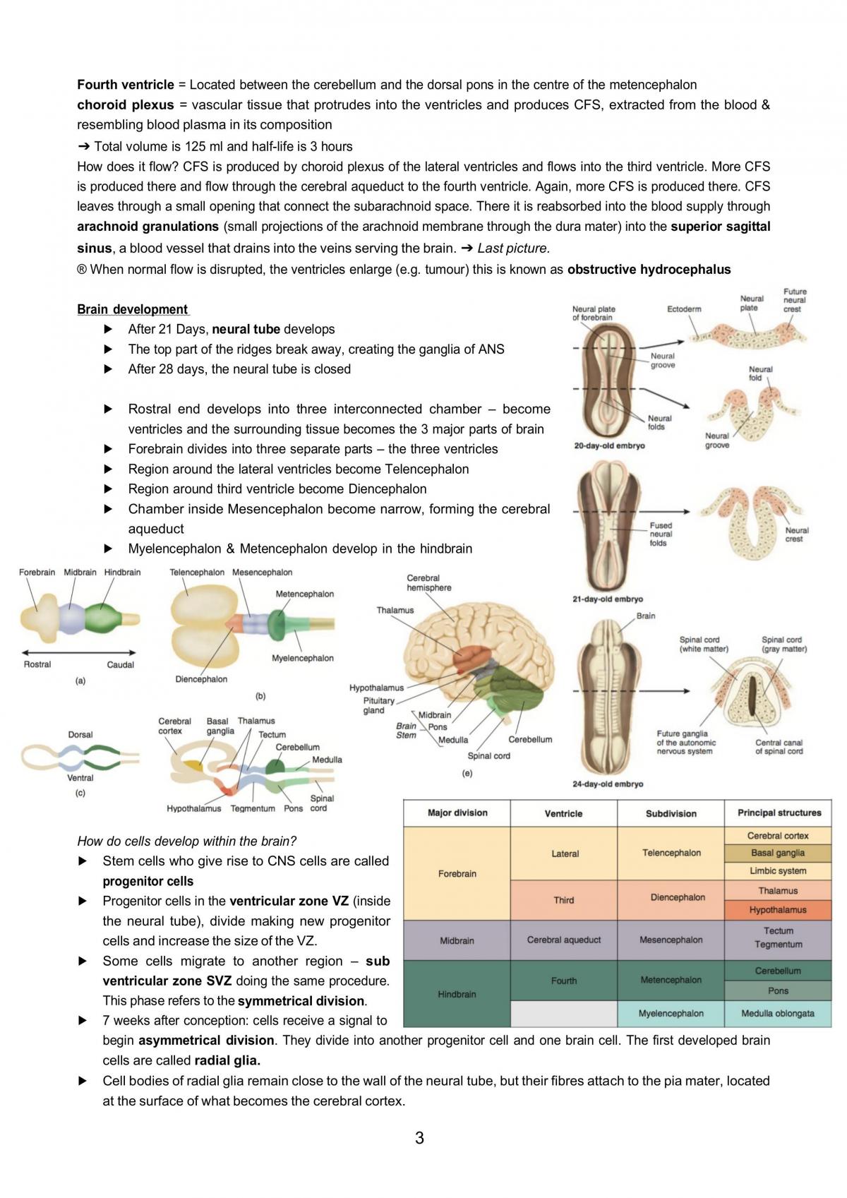 Genes and Behaviour Summary - Page 2