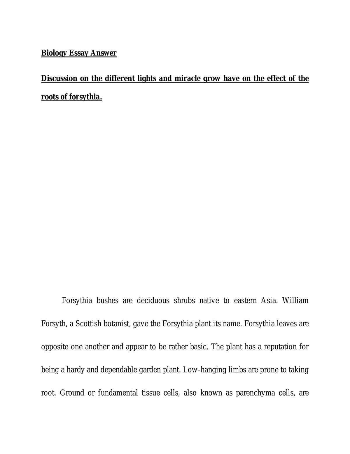 Roots of forsythia  - Page 1