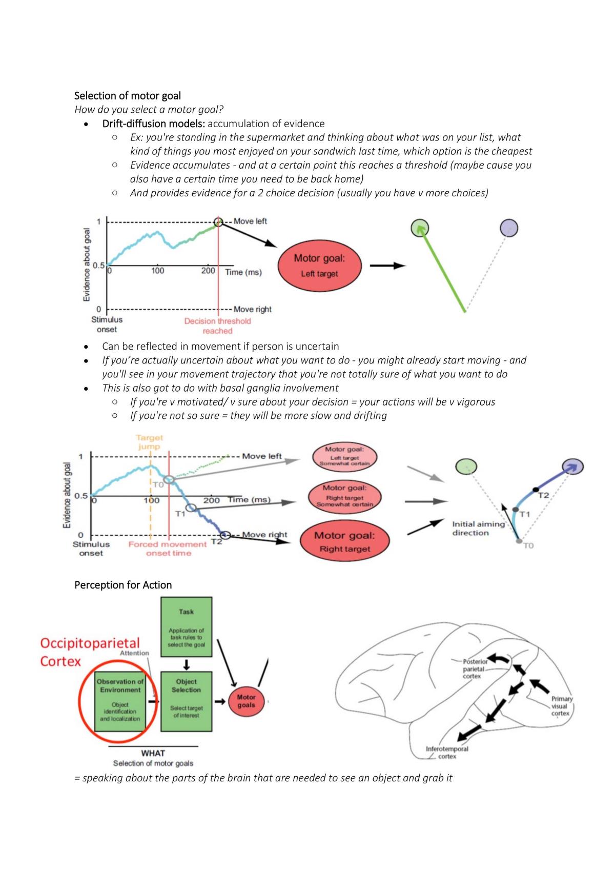 The Aging Body - Study Guide - Page 7