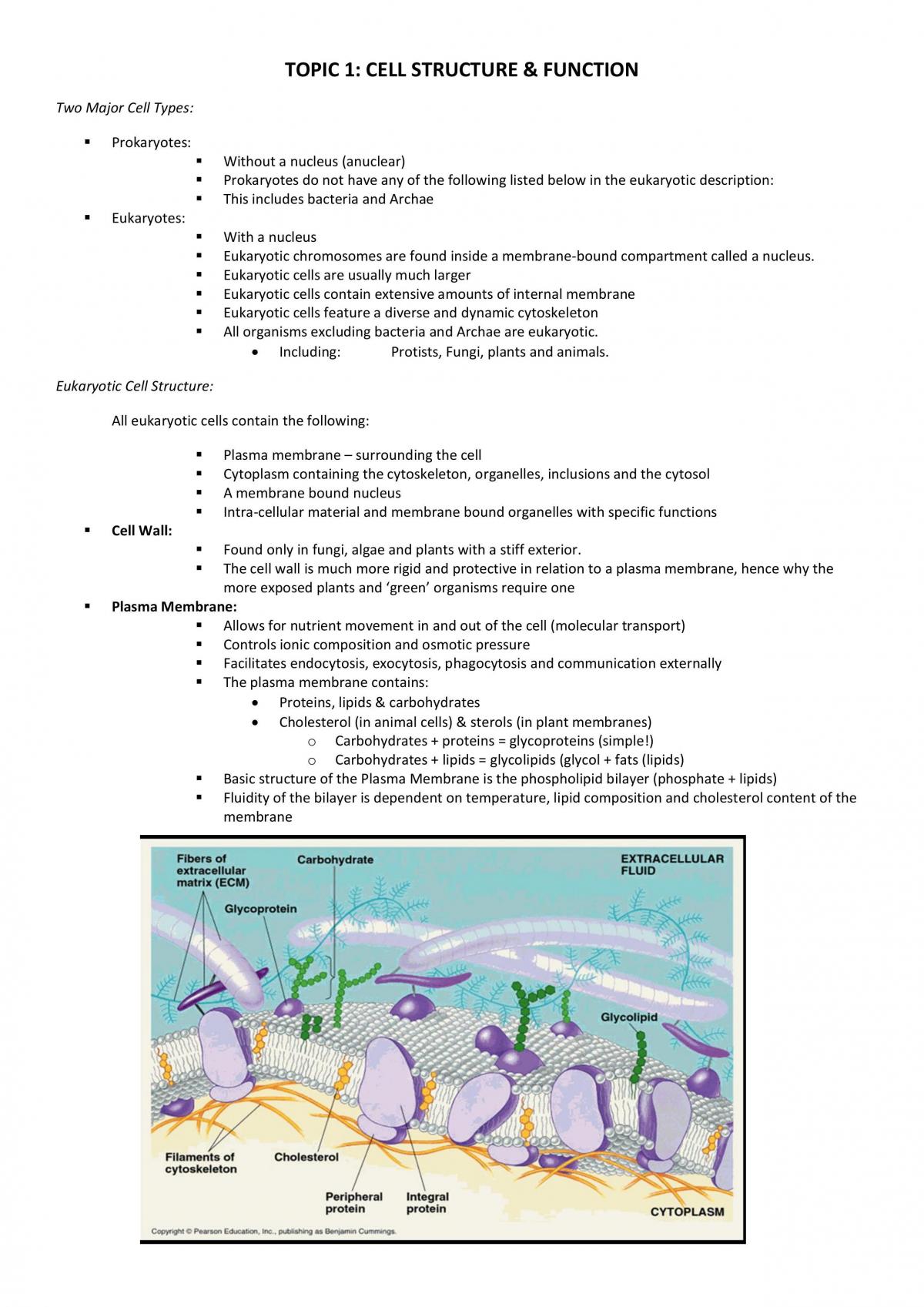 Cells, Tissues and Regulation - Page 1