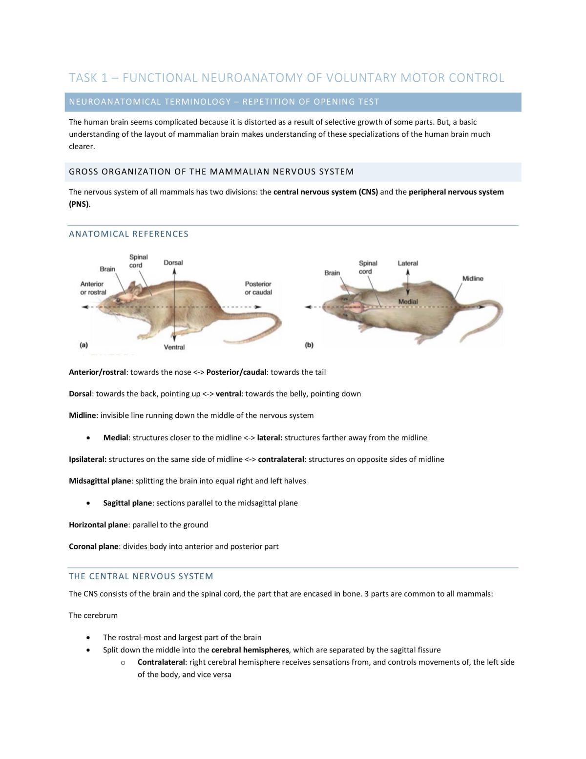 ANATCELL 3200 Notes - Page 1