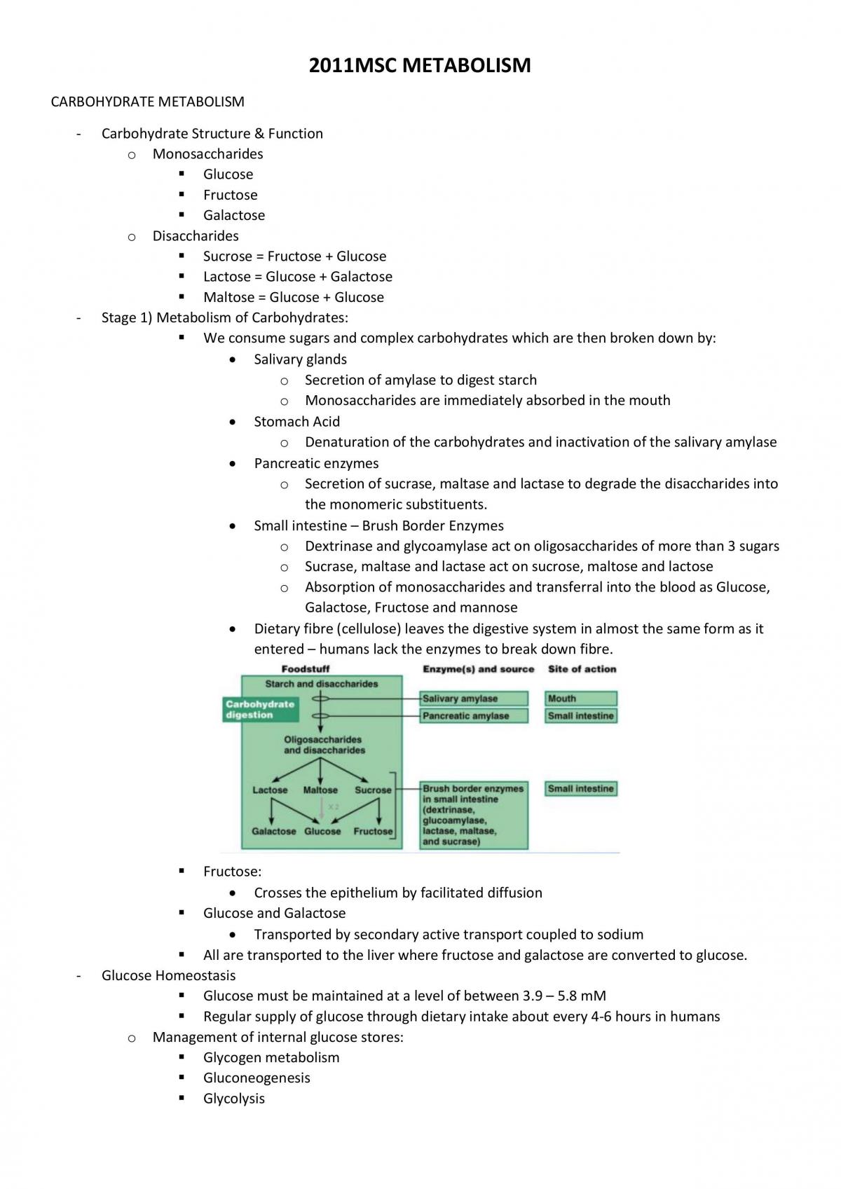 Metabolism Notes - Page 1