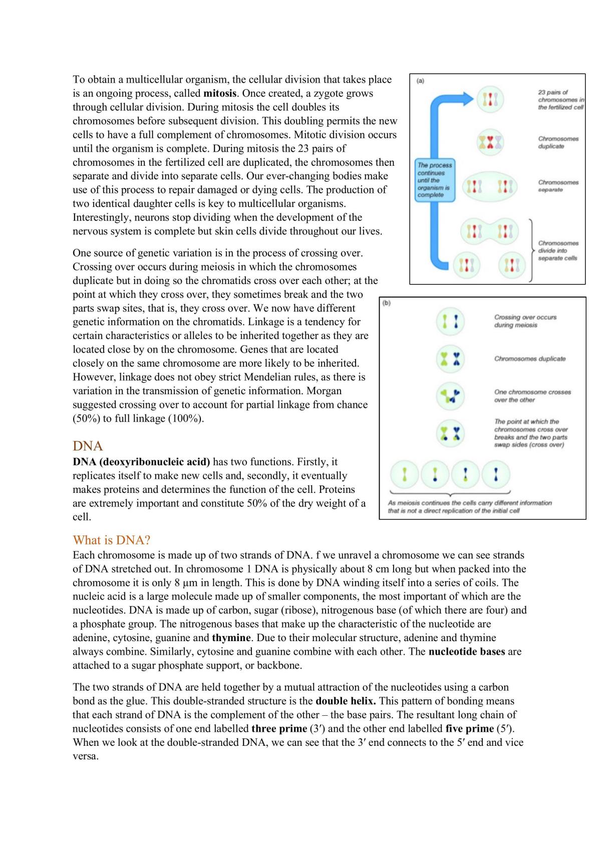 Biological Systems - Summary  - Page 9