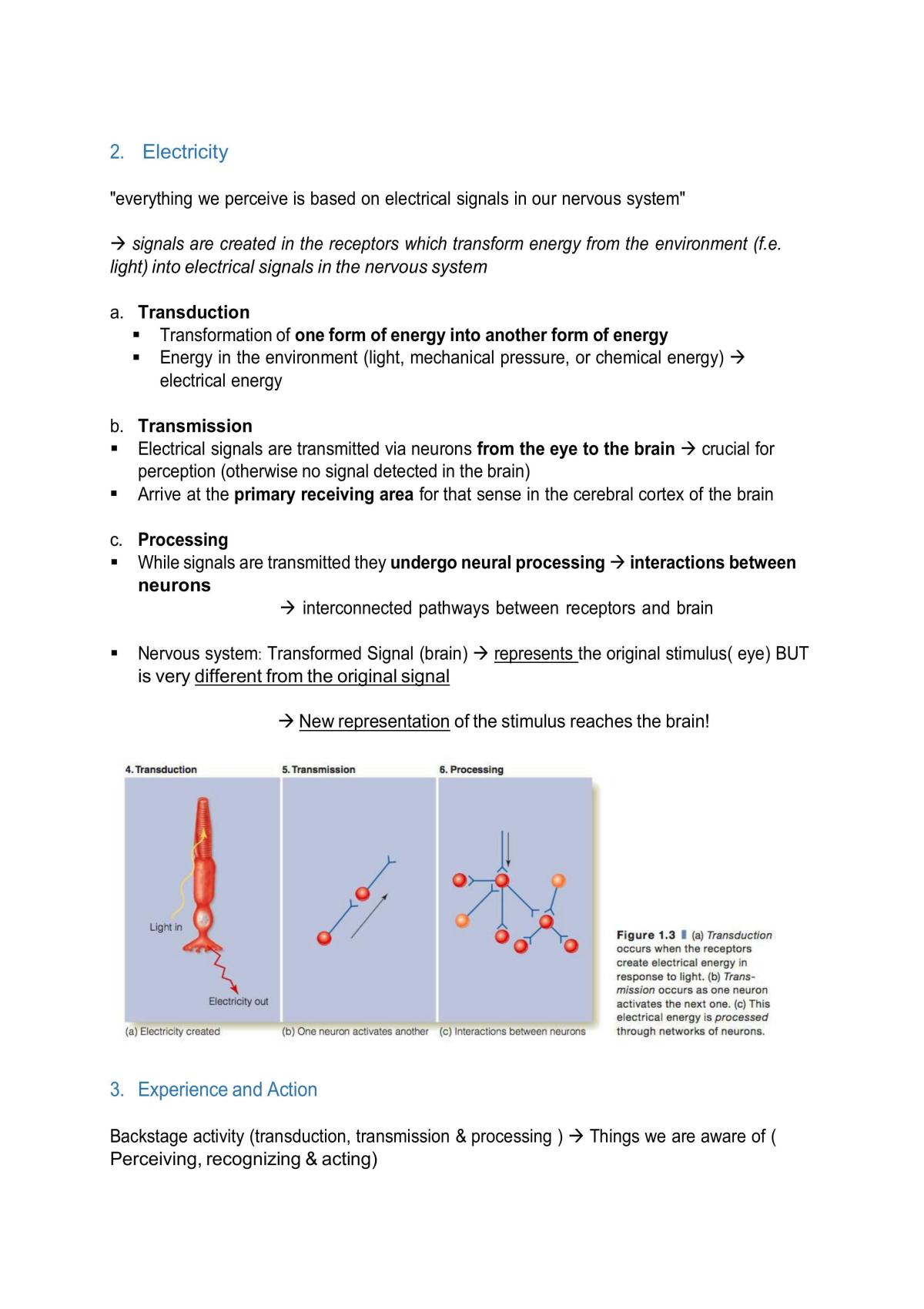 Person Perception Notes - Page 3